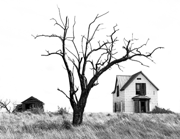 Palouse wheat field, Palouse wheat farm, Palouse homestead, Palouse abandoned, Kodak T-Max 400, Jeff King Photography