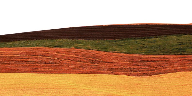 Palouse wheat field, Palouse wheat farm, Palouse, Palouse farm, Palouse wheatlands, Fuji Provia 100F, Nikon F5, Jeff King Photography