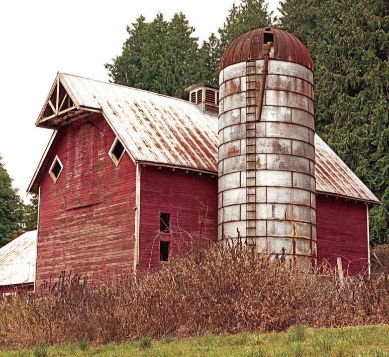 Red barn in Silvana WA, Red barn in Silvana Wash., Stanwood WA barn, Stanwood Wash. barn, Silvana WA, Silvana Wash., Kodak Ektar 100, Mamiya 645, Jeff King Photography