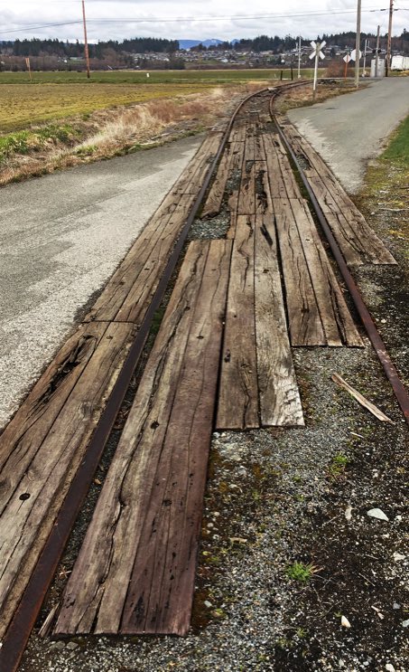 Railroad tracks in Stanwood Wash., Stanwood WA, Stanwood Wash., Stanwood railroad crossing, Kodak Portra 400, Jeff King Photography
