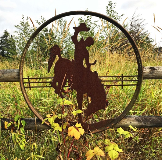 Marysville WA, Marysville Wash., rodeo cowboy, fence art, iphoneography, Jeff King Photography