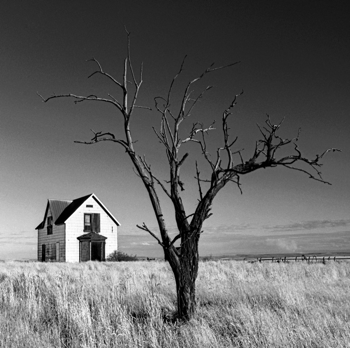 Palouse wheat field, Palouse wheat farm, abandoned farmhouse in the Palouse, Mamiya 645 Pro, Kodak T-Max 400, Jeff King Photography