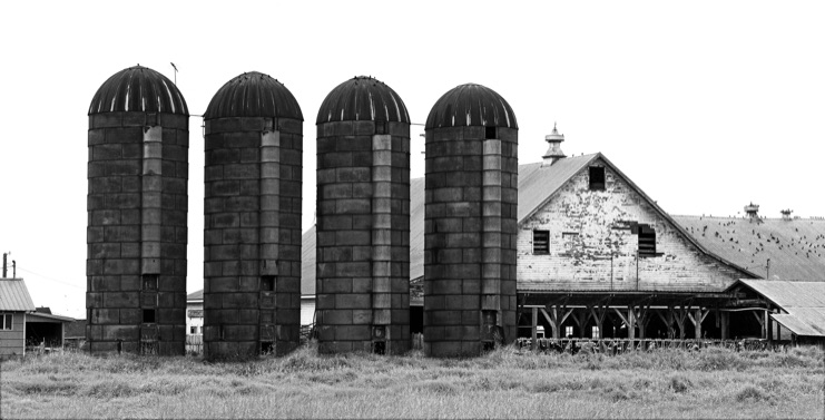 Stanwood WA, Stanwood Wash., Stanwood farm, farm silo, Kodak T-Max 400, Jeff King Photography