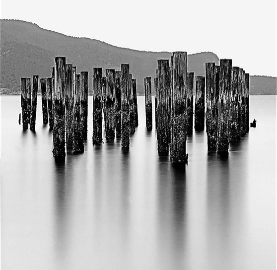 Anacortes, Anacortes WA, Anacortes Wash., Puget Sound pilings, Puget Sound pilings in Anacortes, Mamiya 645, Fuji Neopoan Across 100 