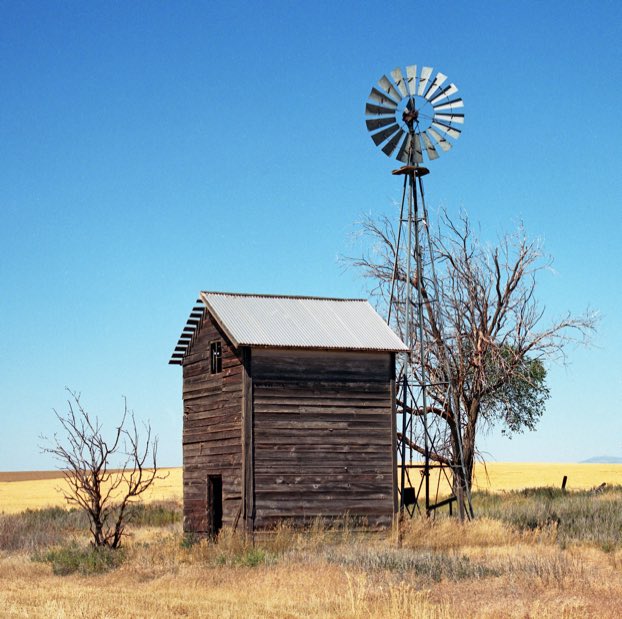 Waterville Plateau, Waterville WA, Waterville Wash., Waterville Plateau wheat farm, Waterville windmill, pioneer farm on Waterville Plateau, Kodak Portra 400, Jeff King Photography, Mamiya 645 Pro
