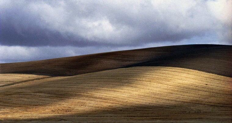 Palouse wheat field, Palouse wheat farm, Palouse, Kodak Gold 200, Nikon F5, Jeff King Photography