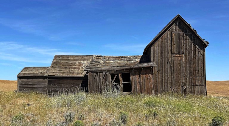 Pioneer cabin on Waterville Plateau, abandoned cabin on Waterville Plateau, Waterville Plateau homestead, iPhone 16 Pro, iPhone camera, iPhone 16 Pro, Jeff King Photography