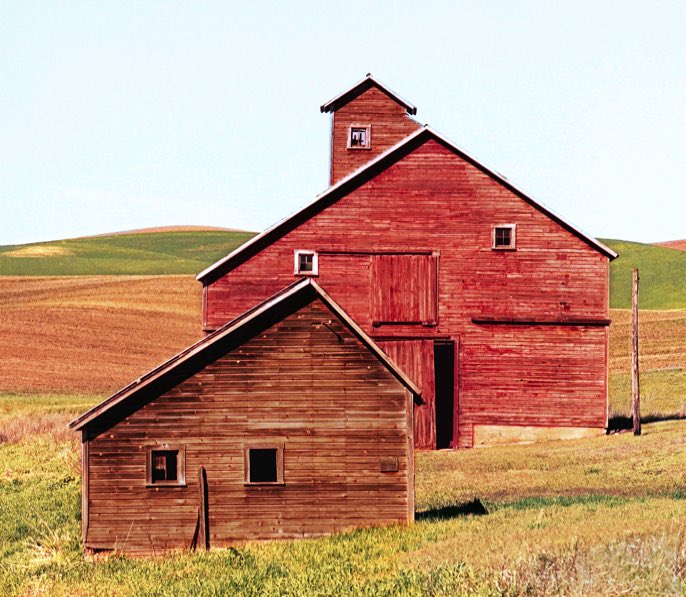 Palouse barn, Palouse wheat field, Palouse wheat farm, Tekoa WA, Tekoa Wash., Kodak Portra 400, Mamiya 645, Jeff King Photography