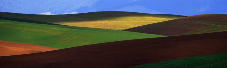 Palouse wheat field, Palouse wheat farm, Palouse, Palouse farm, Fuji Velvia 50, Jeff King Photography