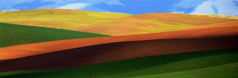 Palouse wheat field, Palouse wheat farm, Palouse, Palouse farm, Fuji Velvia 50, Jeff King Photography